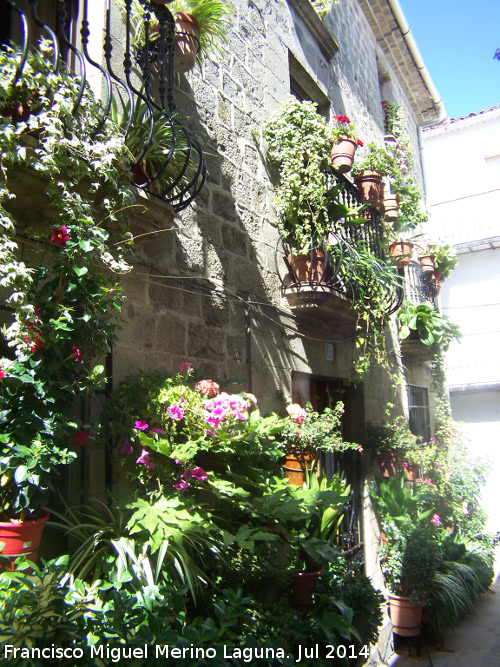 Casa de la Calle Cruz nº 11 - Casa de la Calle Cruz nº 11. Fachada