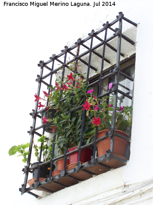 Casa de la Calle Rincón nº 2 - Casa de la Calle Rincón nº 2. Reja de rosetas