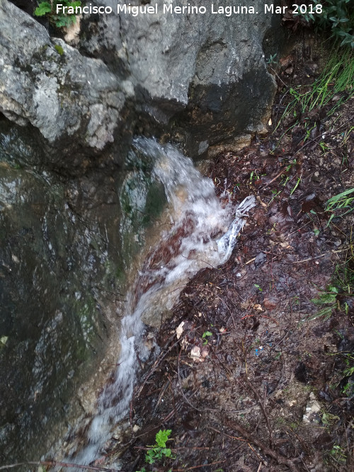 Fuente de la Peña - Fuente de la Peña. 