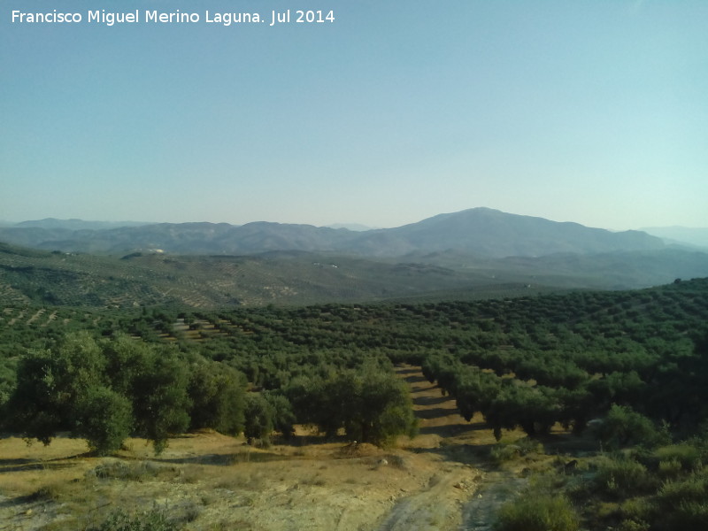 Vereda Real de Valdepe�as - Vereda Real de Valdepe�as. Vistas