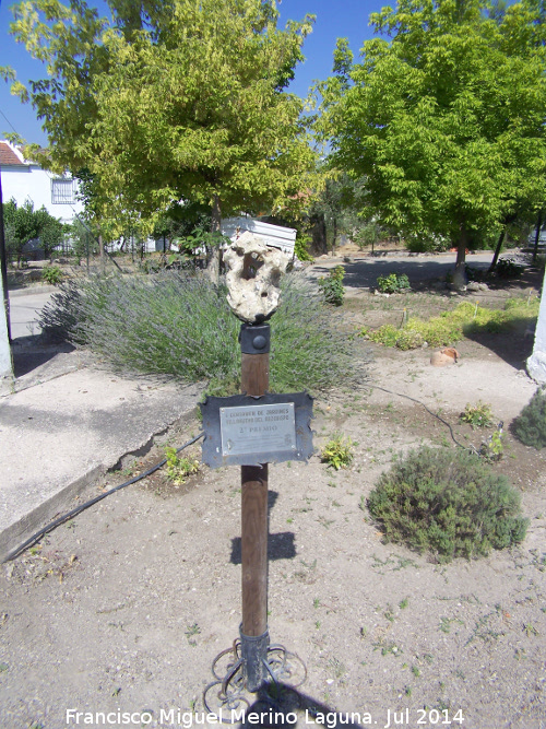 Plaza de Gútar - Plaza de Gútar. Jardines