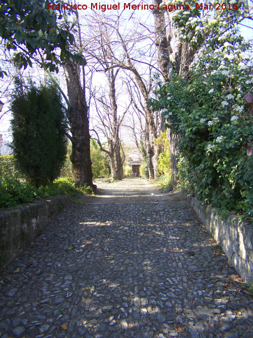 Casería del Jardín del Obispo - Casería del Jardín del Obispo. Camino