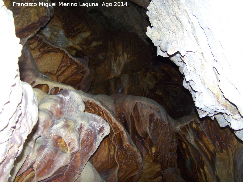 Cueva de la Canalización - Cueva de la Canalización. 