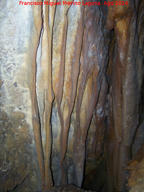 Cueva de la Canalización - Cueva de la Canalización. 
