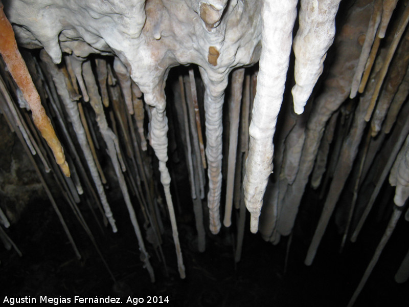 Cueva de la Canalización - Cueva de la Canalización. Estalactitas