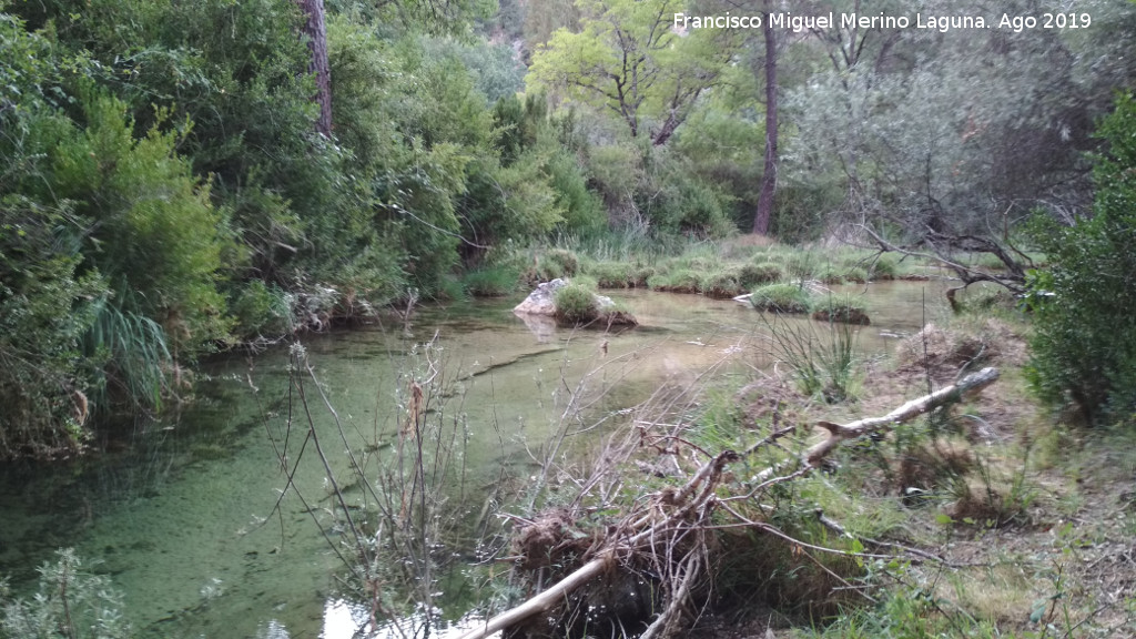 Molino de la Parra - Molino de la Parra. Río junto al molino