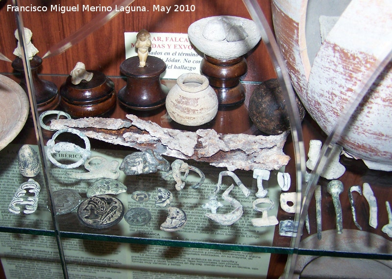 Museo de Jódar - Museo de Jódar. Restos ibéricos