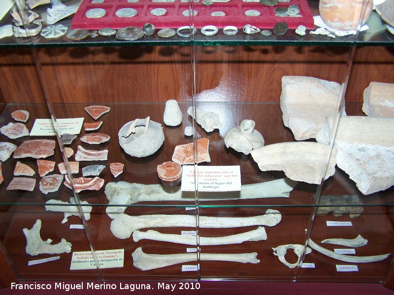 Museo de Jódar - Museo de Jódar. Cerámica romana y restos humanos de la necrópolis de Los Pinares