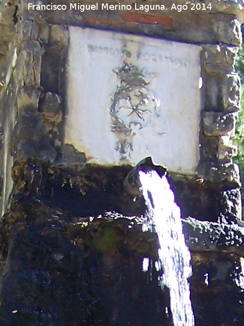 Fuente del Raso de la Honguera - Fuente del Raso de la Honguera. Placa y caño