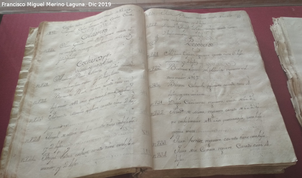 Historia de Ja�n. Siglo XVIII - Historia de Ja�n. Siglo XVIII. Libro de legos del Catastro del Marqu�s de la Ensenada. 1753. Archivo Hist�rico de Ja�n