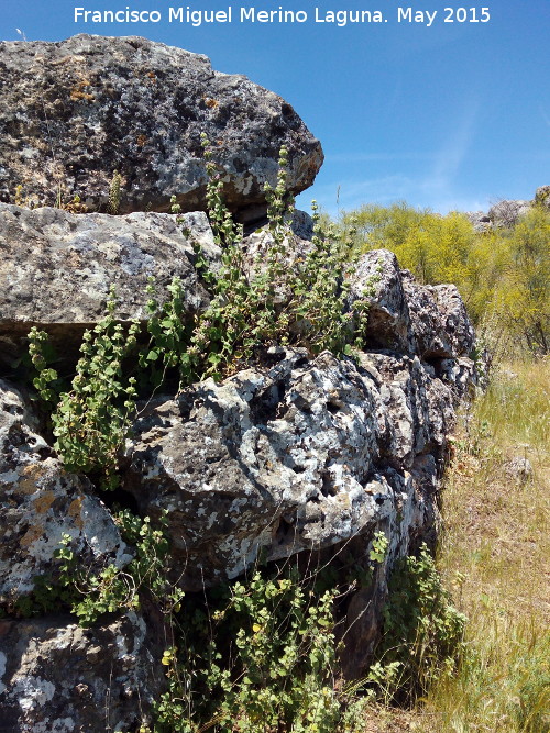 Oppidum de Giribaile. Muralla Ciclópea - Oppidum de Giribaile. Muralla Ciclópea. 