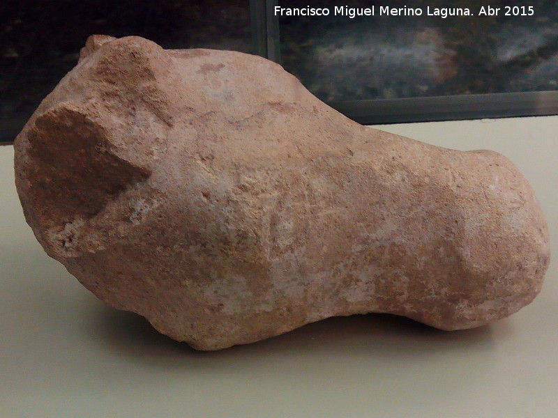 Historia de La Guardia - Historia de La Guardia. Cabeza de caballo. Museo Arqueológico Provincial de Jaén