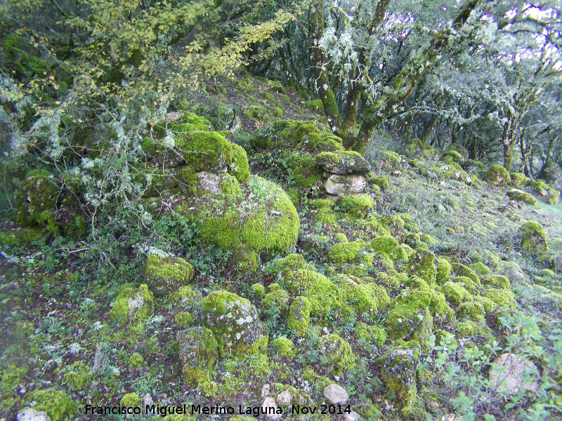 Chozos de la Camuña - Chozos de la Camuña. 