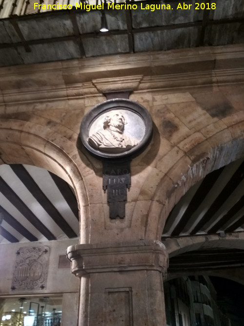 Plaza Mayor - Plaza Mayor. Medallón de Carlos III