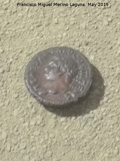 Cástulo - Cástulo. As de Vespasiano (79-79). Museo Arqueológico de Linares