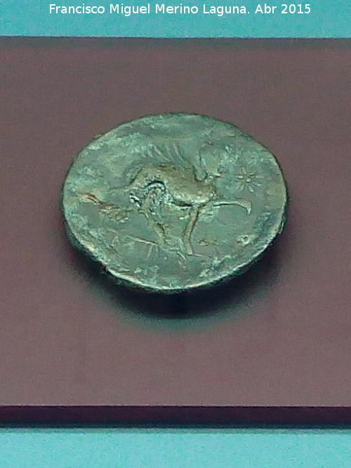 Cstulo - Cstulo. Moneda de Cstulo. Museo Arqueolgico Provincial de Jan