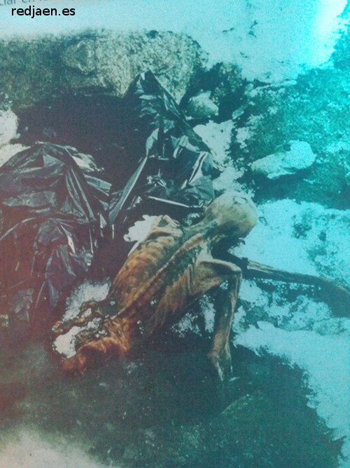 Ötzi - Ötzi. Extracción del hielo
