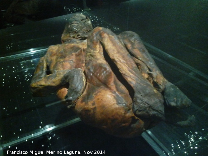 Museo de Antropología - Museo de Antropología. Momia Inca siglo VI d.C.