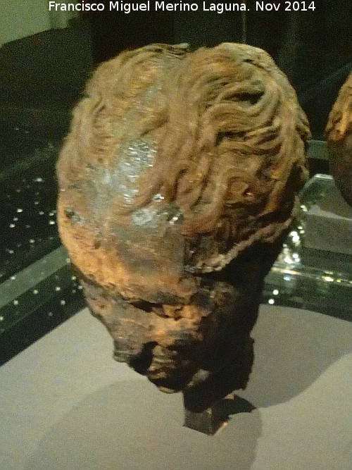 Museo de Antropología - Museo de Antropología. Cabeza momificada egipcia femenina