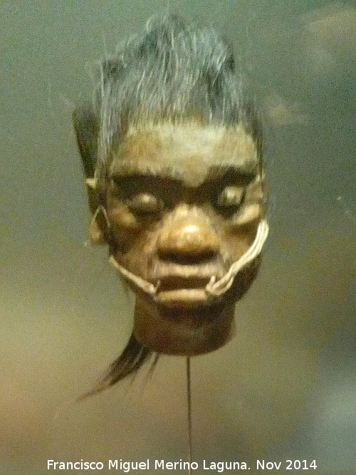 Museo de Arqueología y Etnología de América - Museo de Arqueología y Etnología de América. Cabeza reducida trofeo