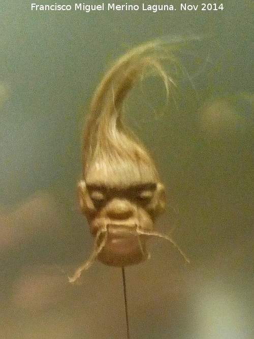 Museo de Arqueología y Etnología de América - Museo de Arqueología y Etnología de América. Cabeza reducida trofeo