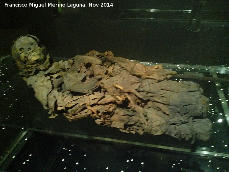 Museo Arqueolgico de Tenerife - Museo Arqueolgico de Tenerife. Momia Guanche