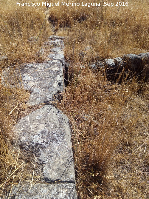 Yacimiento Cortijo del Fondo de las Caserías de San Isidro - Yacimiento Cortijo del Fondo de las Caserías de San Isidro. 