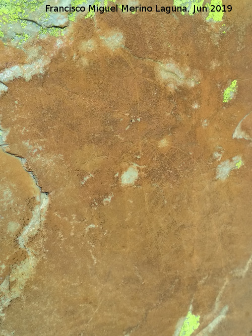 Pinturas rupestres y grabados del Poyo del Medio de la Cimbarra I - Pinturas rupestres y grabados del Poyo del Medio de la Cimbarra I. Arboriforme y pájaro