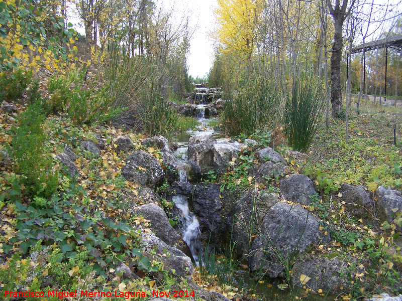 Jardín Micológico La Trufa - Jardín Micológico La Trufa. 