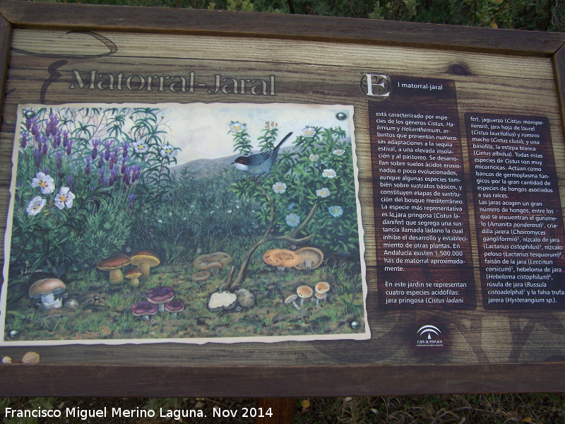 Jardín Micológico La Trufa - Jardín Micológico La Trufa. Cartel