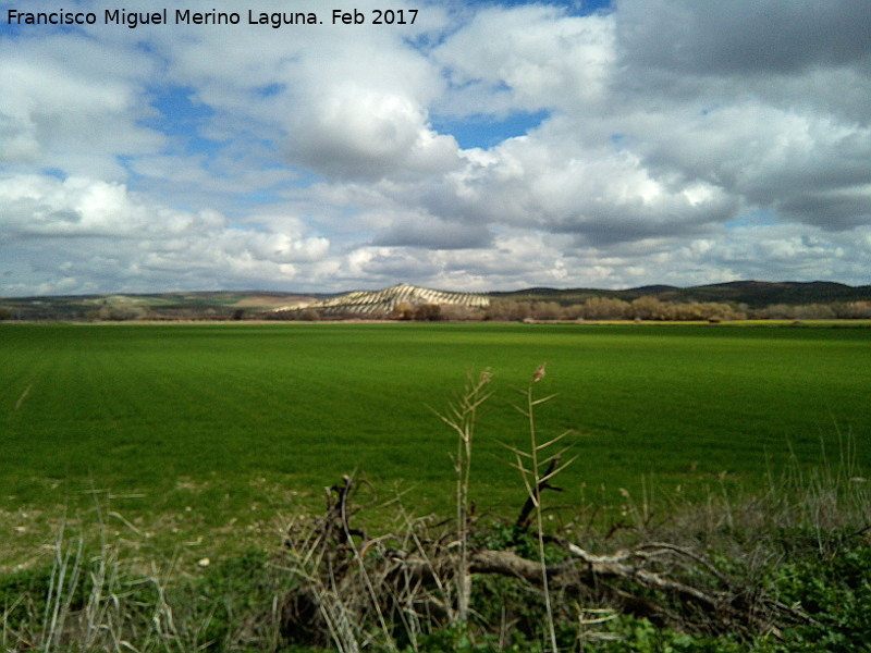 Yacimiento Grañena Alta - Yacimiento Grañena Alta. 