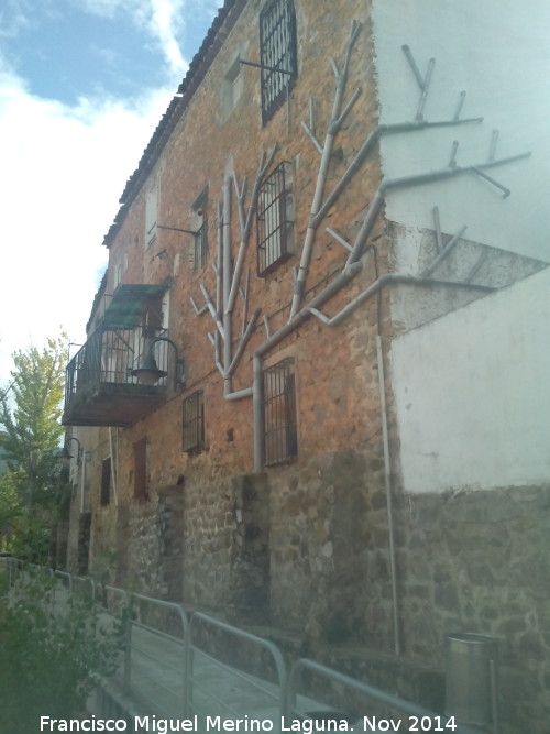 rbol de Canalones - rbol de Canalones. 