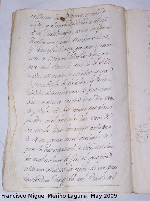 Auto de Carlos IV - Auto de Carlos IV. ramente dependientes, y subordi-<br>
nados, y a ??? en el uso<br>
de su función, como lo ejecuto<br>
??? con Juan Ambrosio Covo<br>
y Francisco Gamez, por que apremi-<br>
avan a Manuel Alcalde a 