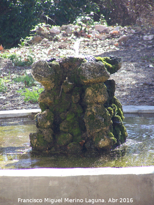 Fuente de Mata Bejid - Fuente de Mata Bejid. Caño