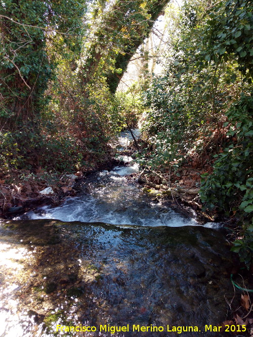 Río Oviedo - Río Oviedo. 