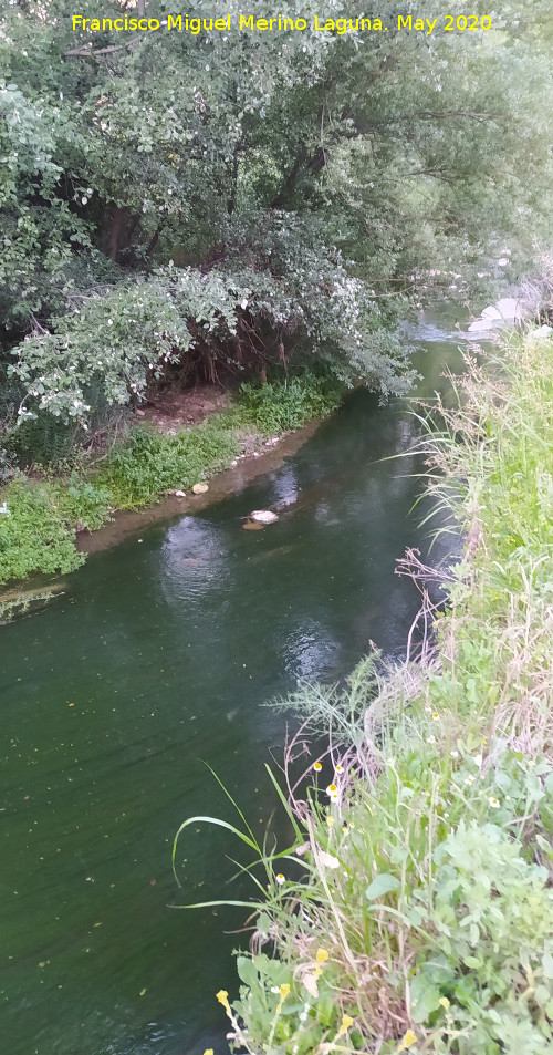 R�o Fr�o - R�o Fr�o. A su paso por el Cerro Toledo - Los Villares