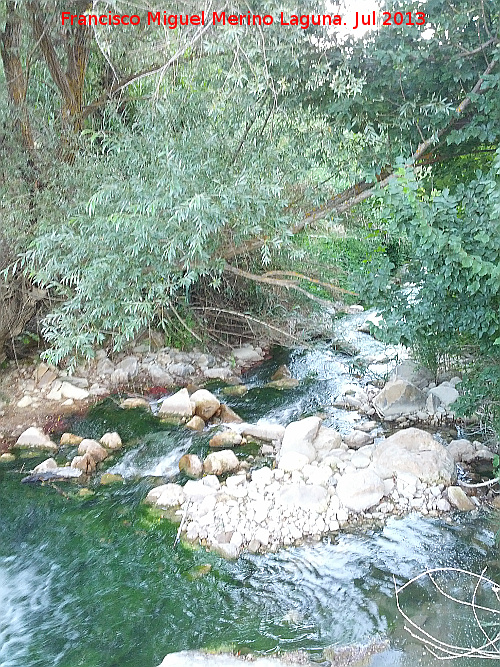 Río Frío - Río Frío. 