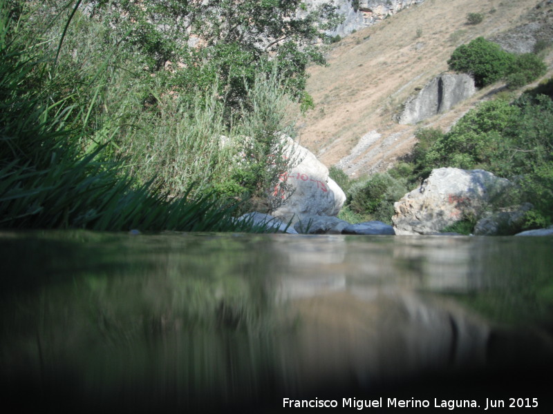 Río Frío - Río Frío. 