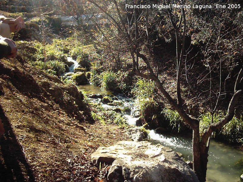 Río Frío - Río Frío. 