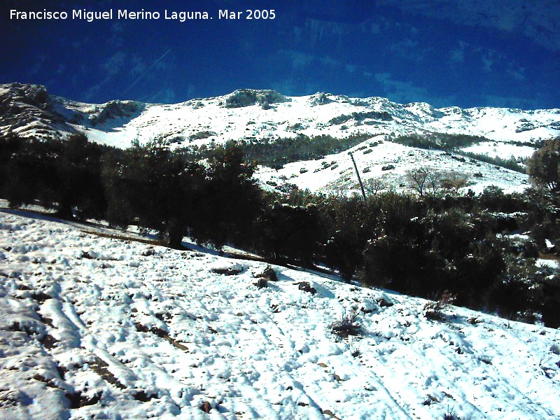 Loma del Toril - Loma del Toril. Desde la carretera a Jaén