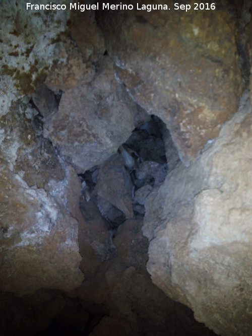 Eremitorio de Chircales - Eremitorio de Chircales. Hueco con cráneo de animal