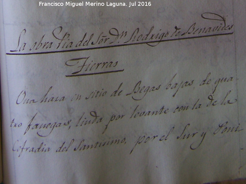 Historia de Navas de San Juan - Historia de Navas de San Juan. Catastro 1819. Obra Pia de Don Rodrigo de Benavides