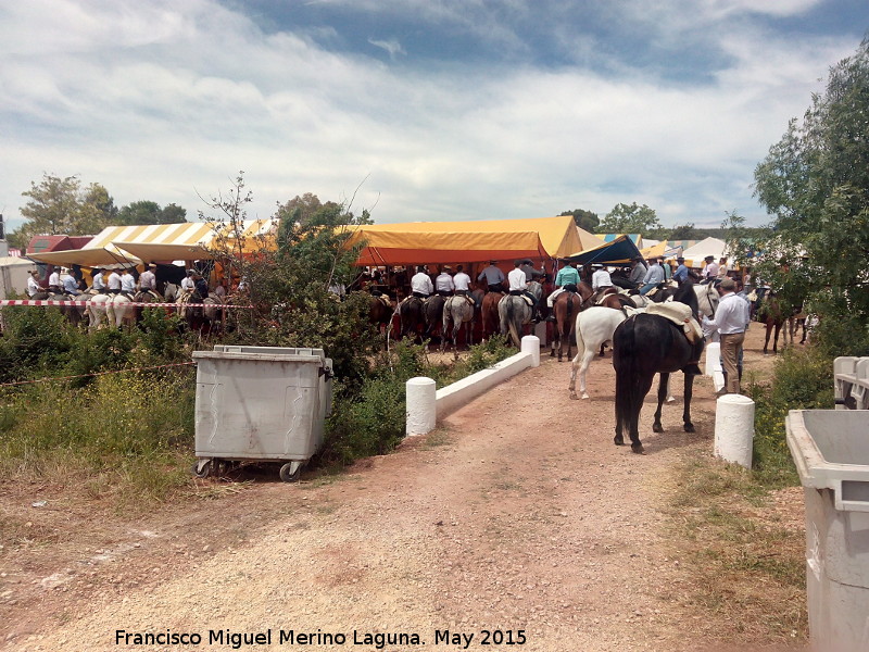 Romería de la Virgen de la Estrella - Romería de la Virgen de la Estrella. Caballos