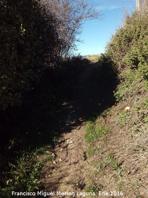 Camino de Cortés - Camino de Cortés. 