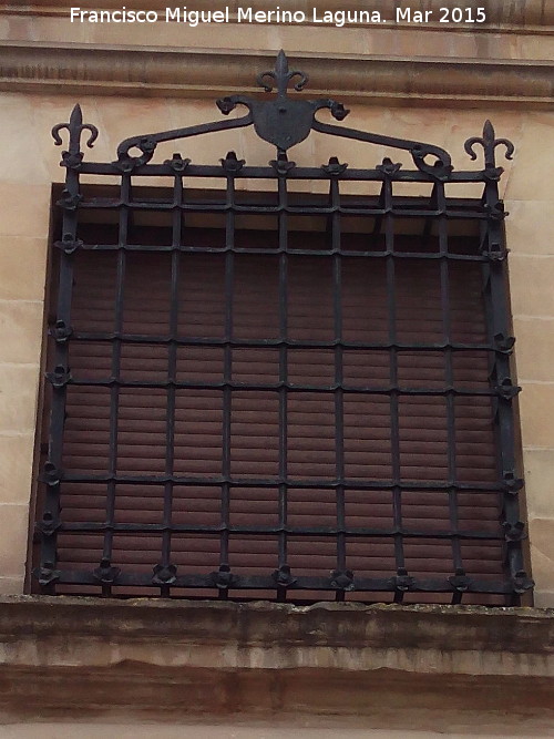 Casa de la Acera de la Magdalena nº 33 - Casa de la Acera de la Magdalena nº 33. Reja de rosetas y picas