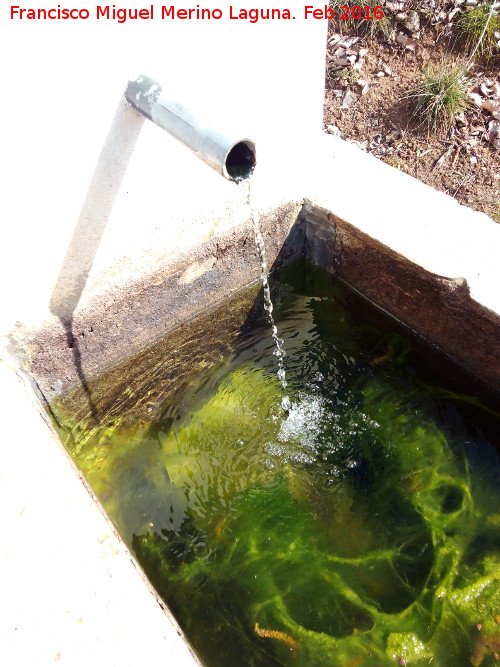Fuente de Hondacabras - Fuente de Hondacabras. Caño