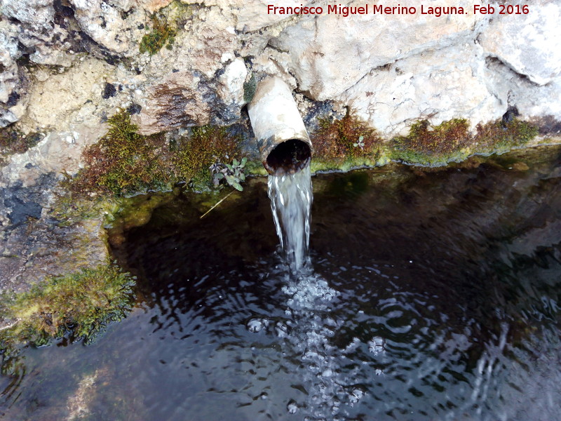 Fuente Nitar - Fuente Nitar. Caño