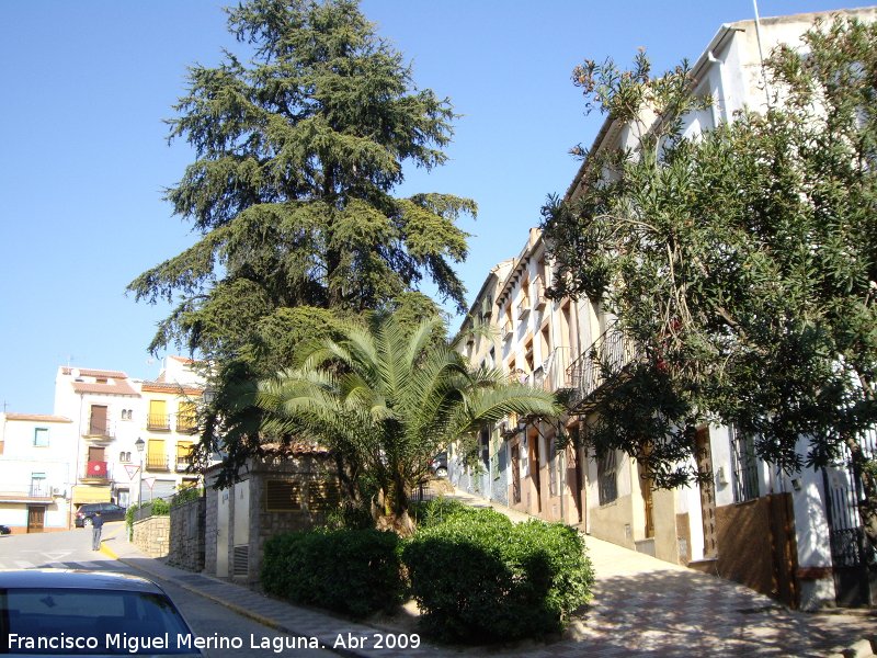 Plaza Domingo lvarez - Plaza Domingo lvarez. 