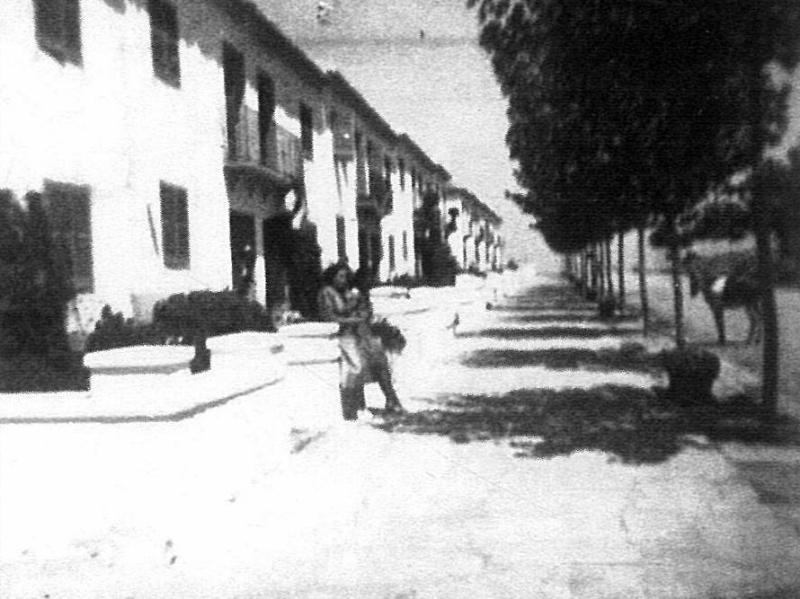 Avenida de Andalucía - Avenida de Andalucía. Foto antigua