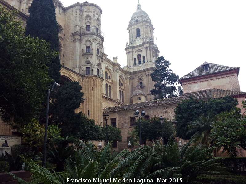 Catedral de Málaga - Catedral de Málaga. 